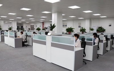 Instantâneo dos funcionários de nosso escritório no trabalho