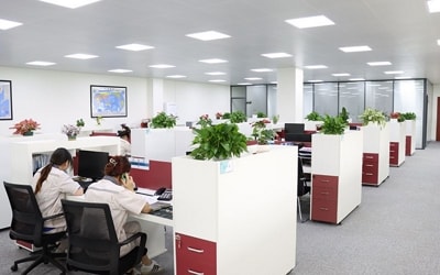 Instantâneo dos funcionários de nosso escritório no trabalho